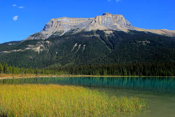 istock Fossils Range at Emerald Lake, Yoho National Park, Canada 464220517