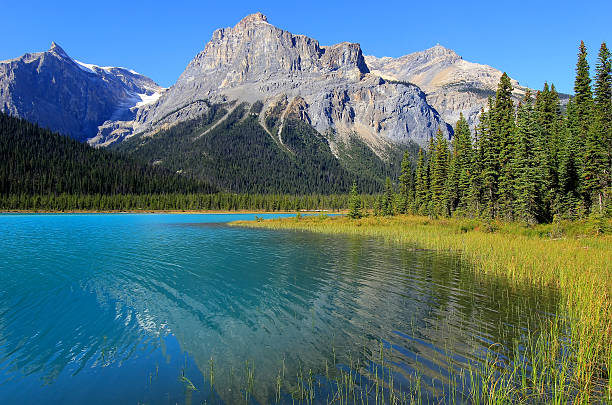 istock Emerald Lake, Yoho National Park, British Columbia, Canada 464222553