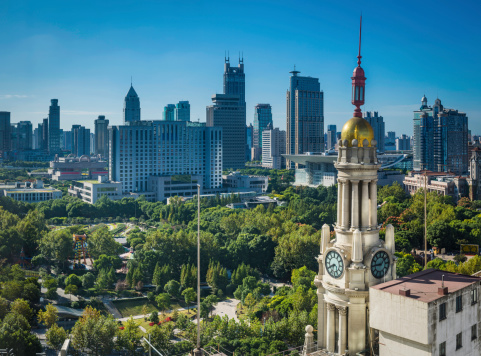 Panorama of Milan with  BAM Tree Library Milan   and modern buildings in distance: amazing yellow (orange) autumn leaf color and green grass  meadow\nand spruces!