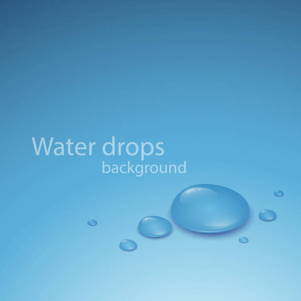 Transparent Water Drop. Vector illustration vector art illustration