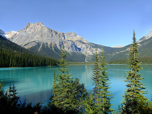 istock Emerald Lake, Yoho National Park, British Columbia, Canada 464245127