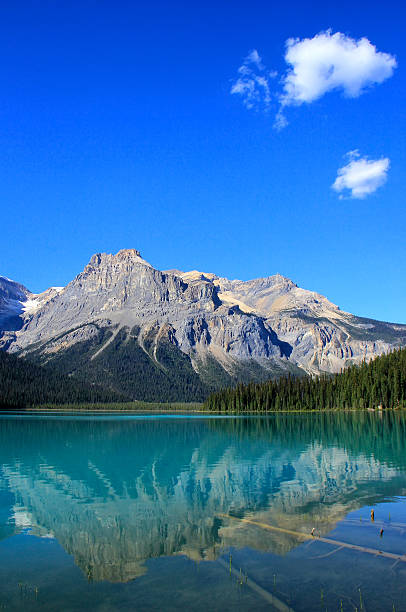 istock Emerald Lake, Yoho National Park, British Columbia, Canada 464246987
