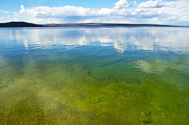 istock Calm Lake Yellowstone 464247371