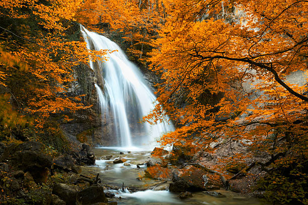 아름다운 워터풀. 추절 - waterfall erawan tropical rainforest tree 뉴스 사진 이미지