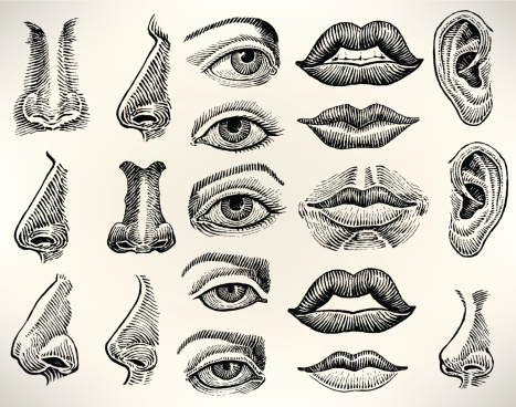 Human Features - Eye, Mouth, Ear, Nose