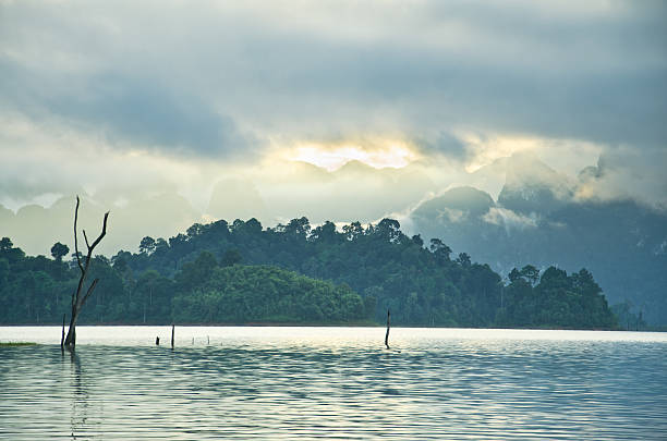 istock Beautiful mountains and natural attractions in Ratchaprapha Dam 464298501