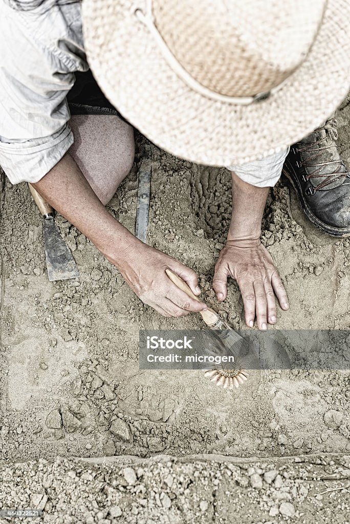 Paléontologie - Photo de Archéologie libre de droits