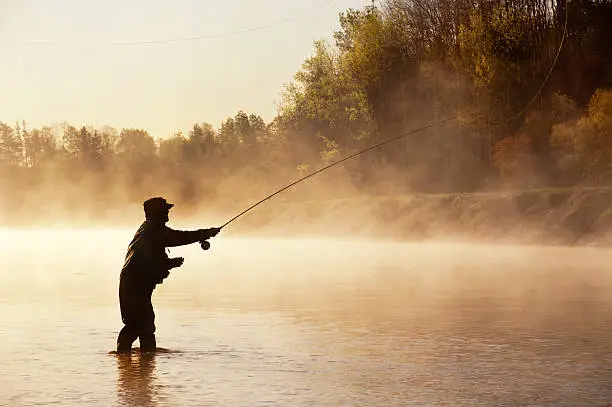 A fly fisherman fishes for Striped Bass in the early morning fog on a river in Nova Scotia.