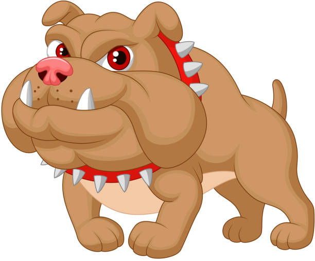 Bulldog cartoon Vector illustration of Bulldog cartoon  mean dog stock illustrations