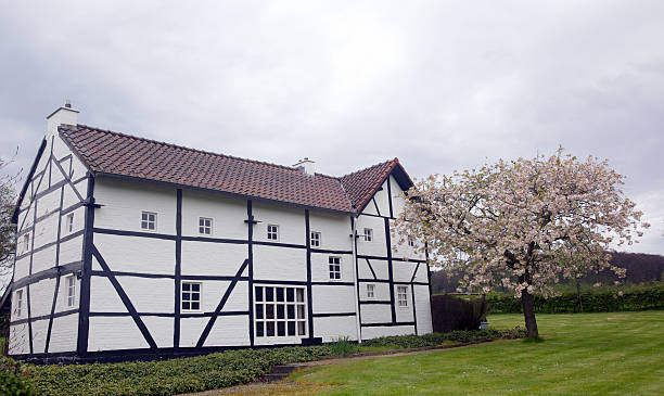 istock characteristic house - Limburg 464339939