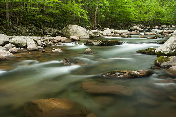 River stock photo