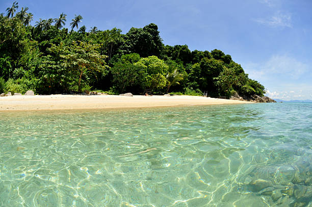 tropical beach stock photo