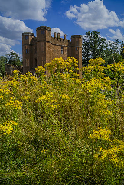 kenilworth castle kenilworth castle warwickshire the midlands england uk - Kenilworth castle is an Elizabethan castle in the English Midlands in the county of Warwickshire. It is now in ruins, but is still a popular tourist attraction due to its impressive structure and size. There are no people in this picture taken on a warm sunny day is summer. There are yellow wild flowers in the foreground. kenilworth castle stock pictures, royalty-free photos & images