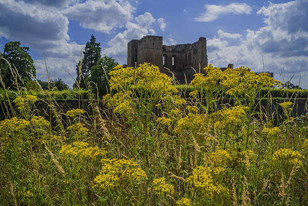 kenilworth castle kenilworth castle warwickshire the midlands england uk - Kenilworth castle is an Elizabethan castle in the English Midlands in the county of Warwickshire. It is now in ruins, but is still a popular tourist attraction due to its impressive structure and size. There are no people in this picture taken on a warm sunny day is summer. There are yellow wild flowers in the foreground. kenilworth castle stock pictures, royalty-free photos & images