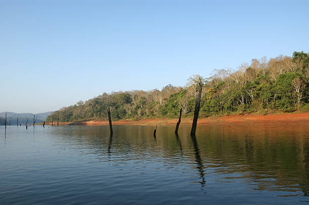 istock lake, Periyar National Park, Kerala, India 464344917