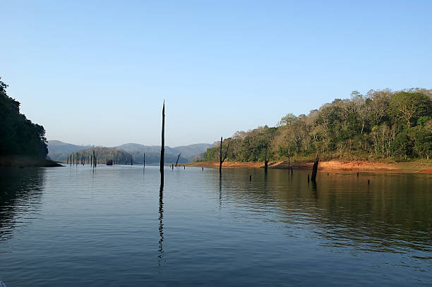 istock lake, Periyar National Park, Kerala, India 464345121