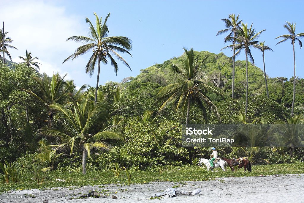 Tropical Riding Rider Riding A Tropical Forest Stock Photo - Download Image Now ...