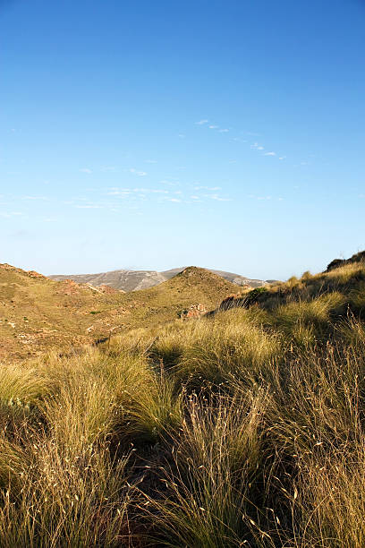 istock Desert of Almeria 464347729
