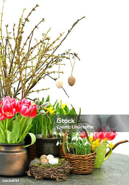 Fiori Di Primavera Con Uova Di Pasqua Decorazione - Fotografie stock e altre immagini di Albero - Albero, Ambientazione interna, Bellezza naturale