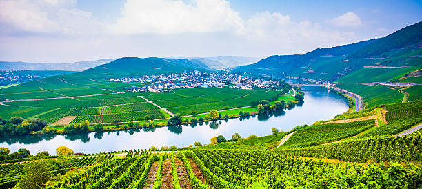 istock famous Moselle Sinuosity with vineyards 464349437