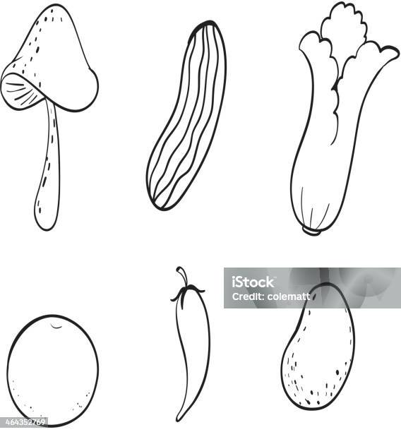 Vetores de Vários Legumes e mais imagens de Agricultura - Agricultura, Arte Linear, Brócolis