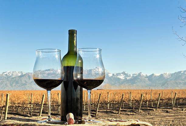 вино, виноградник и горы - wine cork antioxidant wineglass autumn стоковые фото и изображения