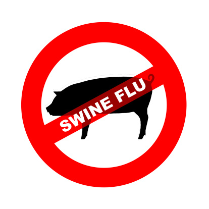 Swine flu virus