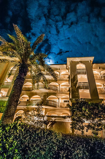 istock palm tree at night near hotel 464361347