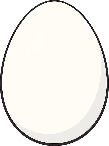 weiße ei - animal egg eggs food white stock-grafiken, -clipart, -cartoons und -symbole