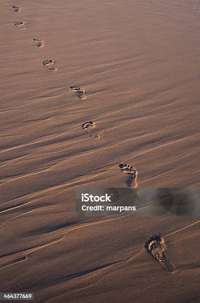 Camminare Sulla Sabbia Al Tramonto - Fotografie stock e altre immagini di Ambientazione esterna - Ambientazione esterna, Bagnato, Camminare