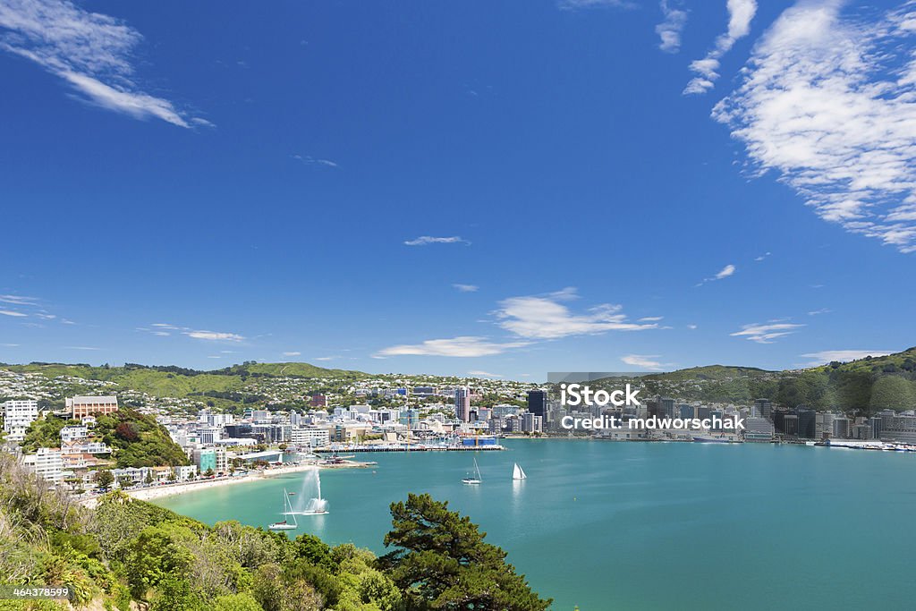 Wellington bay and harbour View from Mount Victoria into the bay of Wellington (capital city of New Zealand) Wellington - New Zealand Stock Photo