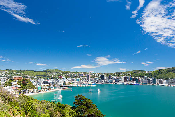 Wellington bay and harbour View from Mount Victoria into the bay of Wellington (capital city of New Zealand) new zealand stock pictures, royalty-free photos & images