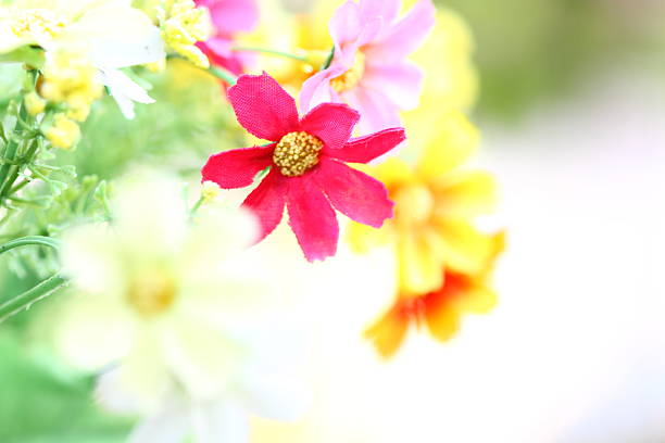 Flower background stock photo