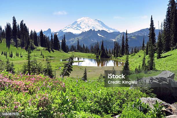 Mt Rainier Und Lake Tipsoo Stockfoto und mehr Bilder von Alpenglühen - Alpenglühen, Baum, Berg