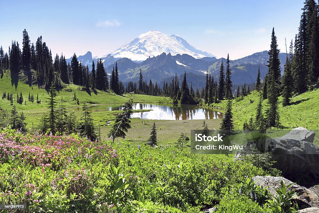 Monte Rainier e Tipsoo Lake - Foto de stock de América do Norte royalty-free