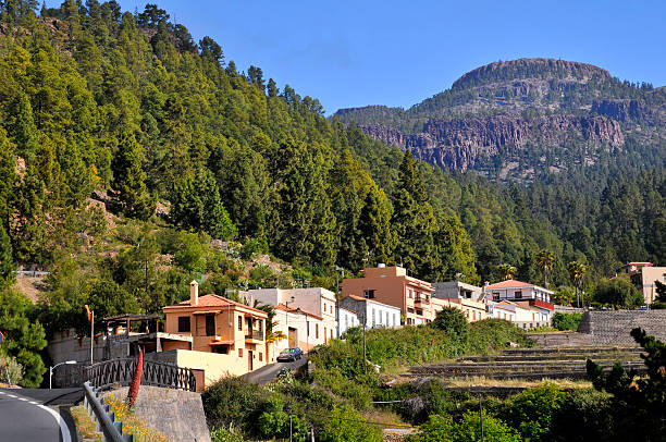 Village of Vilaflor at tenerife Village of Vilaflor among a forest of pines in the mountain at tenerife in the Spanish Canary Islands. village vilaflor on tenerife stock pictures, royalty-free photos & images