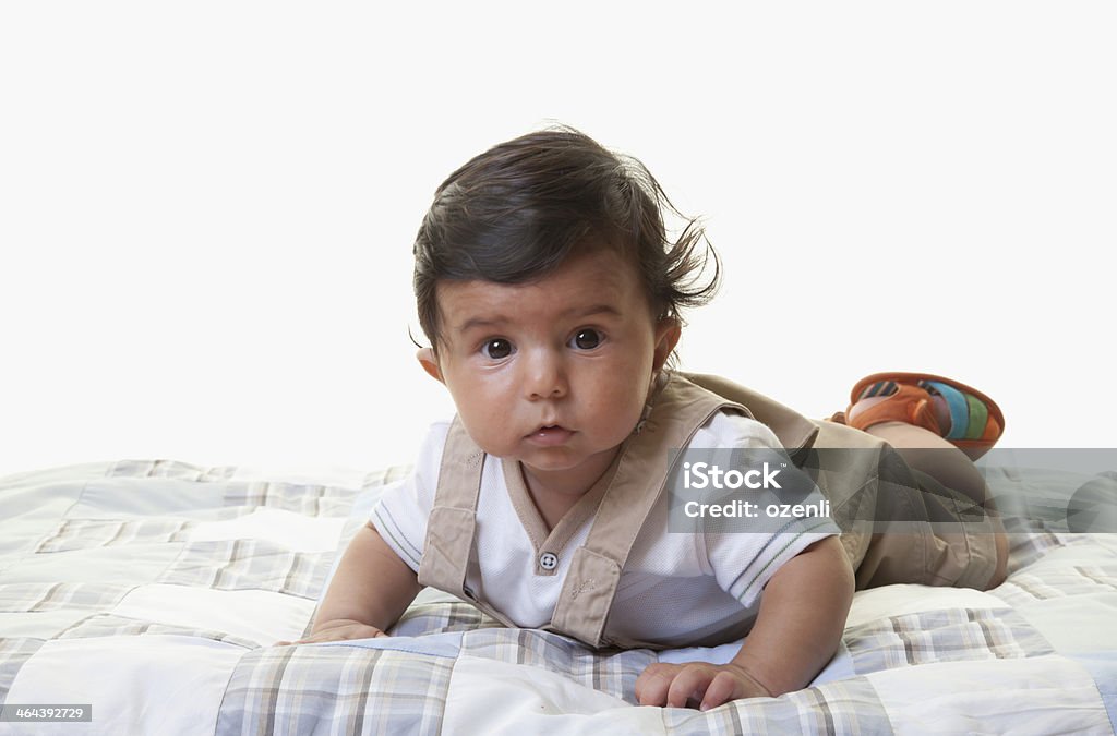 Retrato de uma criança de cinco meses - Royalty-free 2-5 Meses Foto de stock