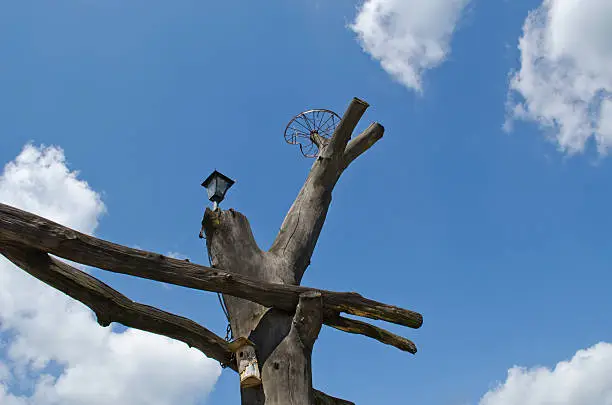 Park gate tree trunk branch on blue sky. Bird nesting-box and old  bicycle wheel for stork nest.