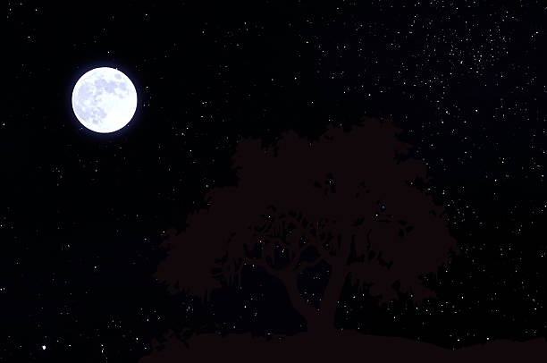istock Moon in the sky with stars. 464394278