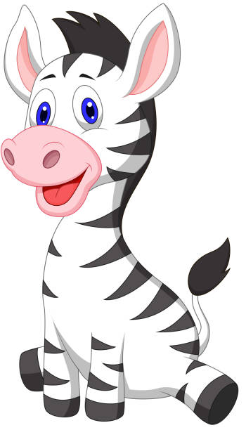 44 Grazing Zebra Animal Illustrations & Clip Art - iStock