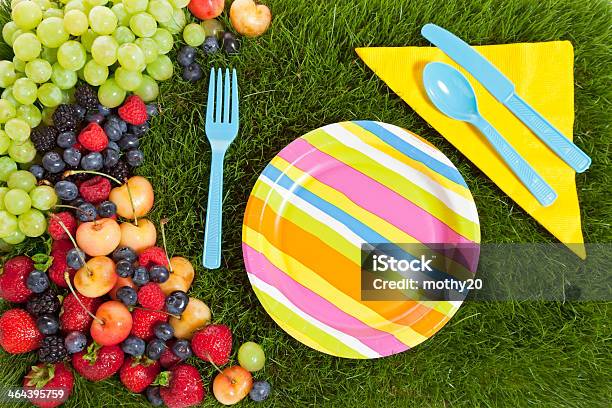 Picnic In The Park Stock Photo - Download Image Now - Blueberry, Copy Space, Cultures