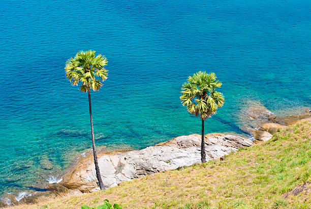 istock Set among palm trees on the island of Phuket 464396355