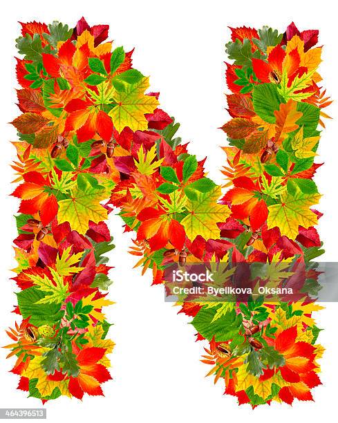 N 추절 알파벳 가을에 대한 스톡 사진 및 기타 이미지 - 가을, 알파벳 N, 10월
