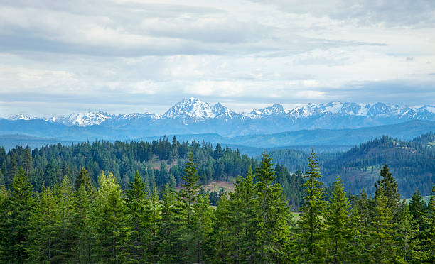 istock Mountains with snow and pines in Washington state 464397083