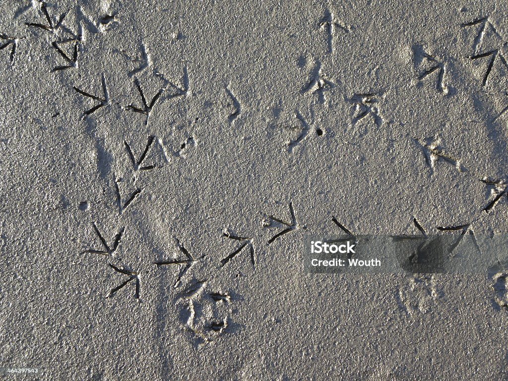 Animal Paw-Aufdruck - Lizenzfrei Abschied Stock-Foto