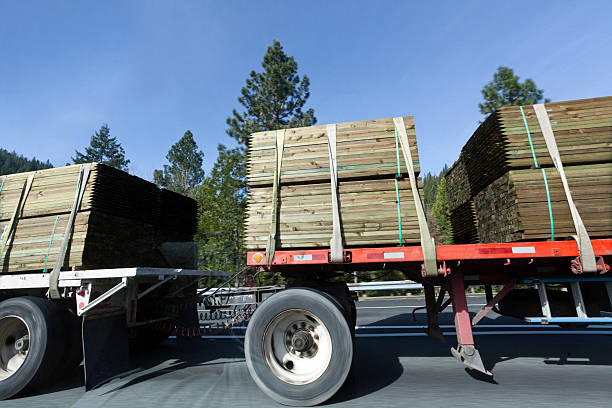 istock Trucking with Lumber 464398014