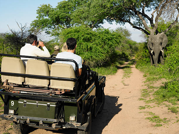 istock Tourists In Jeep Looking At Elephant 464400768