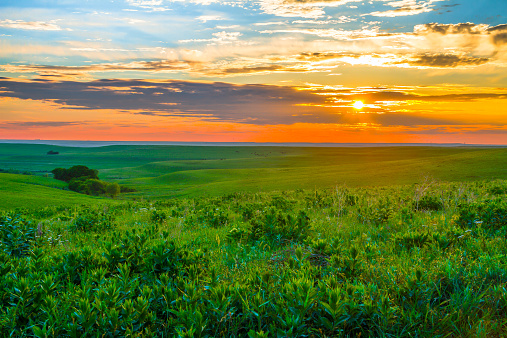Sunset in the Flint Hills outside of Alma, Kansas with Cattle grazing in the far background.