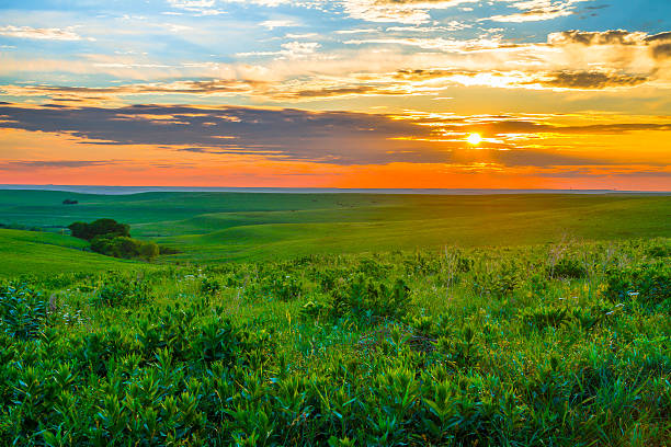 Kansas Sunset in the Flint Hills Sunset in the Flint Hills outside of Alma, Kansas with Cattle grazing in the far background. midwest usa photos stock pictures, royalty-free photos & images