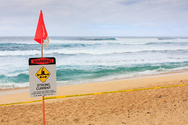 istock Danger signs on the beach 464402548